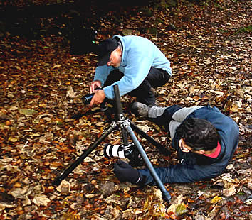 David Taylor sets up to photograph fungi