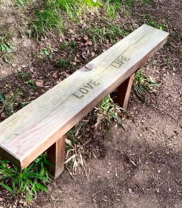 Wooden bench carved with Love Life