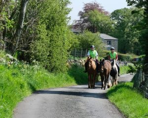 Horse riders in the countryside