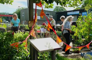 A group of people tending plants