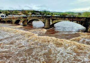 Bridge and weir