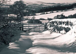 A gate in the countryside in snow